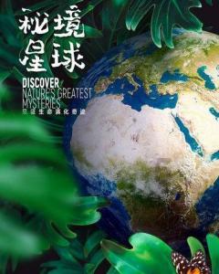 《在暴雪时分》定档后,另一部小甜剧也低调定档